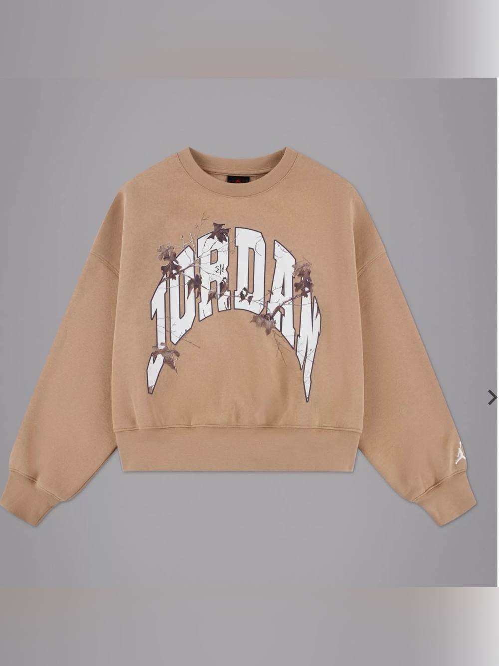 Jordan Kids Tan Graphic Crewneck Sweatshirt